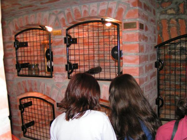 pict3610 (web)